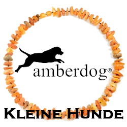 Kleine Hunde (17-39cm)