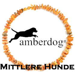 Mittlere Hunde (40-49cm)