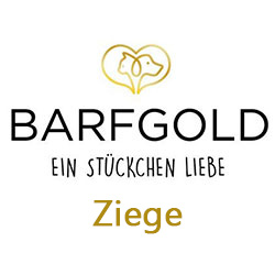 Barfgold Ziege