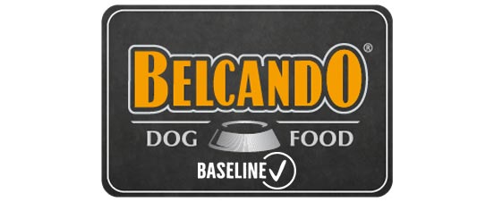 Belcando Baseline