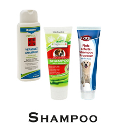 Shampoo