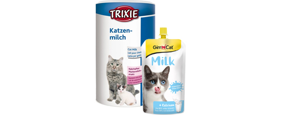 Katzenmilch