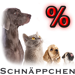 Schnäppchen