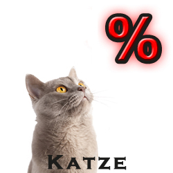Katze