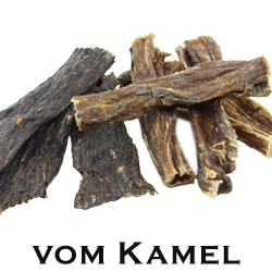 Kamel