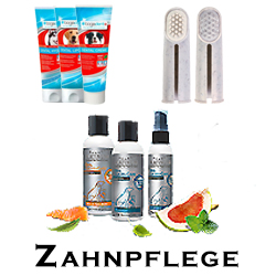 Zahnpflege