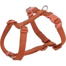 Premium H-Geschirr, XXS-XS: 20-32cm/10mm, rost