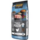 Belcando Puppy GF Poultry 12,5kg