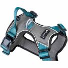 Petlando Magnetech Geschirr, XS, anthrazit/petrol