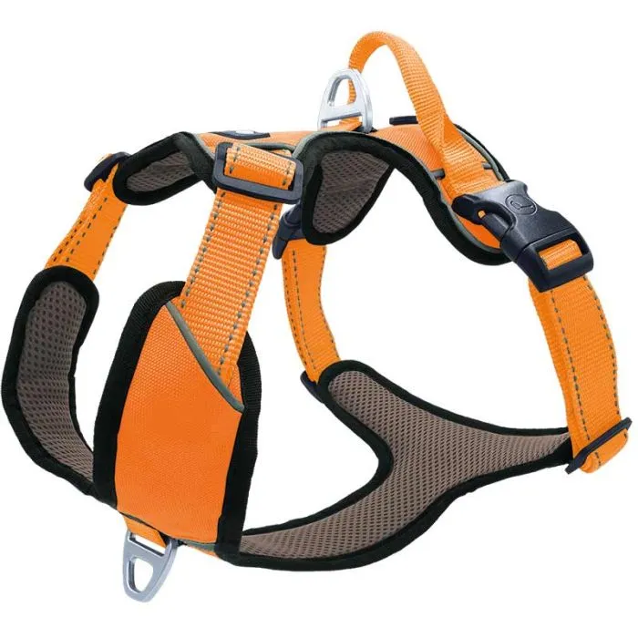 oranges geschirr Petlando Outdoor Geschirr, orange Kat_Küchenaccessoires