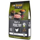 Belcando Adult GF Poultry 4kg