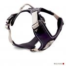 Wolters Geschirr Active Pro, Gr.2: 45-52,5cm/30mm, cham/schw