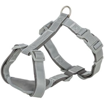 Premium Reflect H-Geschirr, grafit