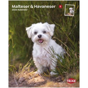 Kalender 2026 Malteser/Havaneser