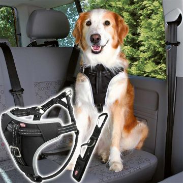 Auto-Geschirr Comfort, schwarz