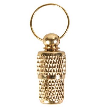 Adressanhänger goldfarben groß für Hunde