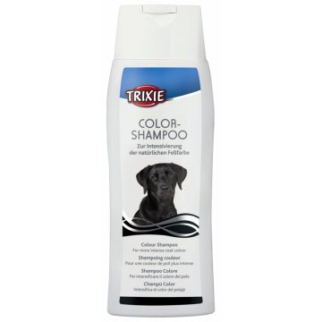 Color-Shampoo, schwarz 250 ml