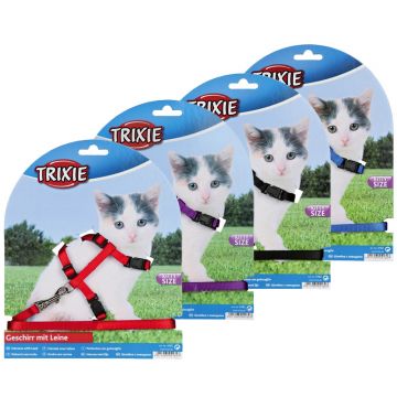 Kätzchengarnitur, Kätzchen/kleine Katzen, Nylon