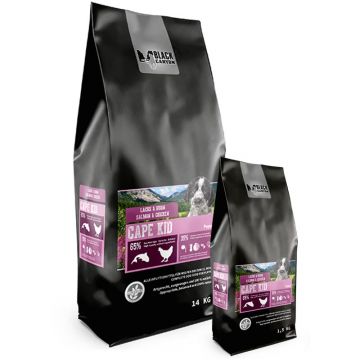 Black Canyon WELPE Cape Kid Lachs & Huhn