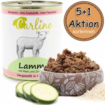 Carlino Menü - Lamm mit Reis und Zucchini