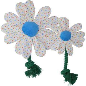 Garden Paws Flower Sky Flowers