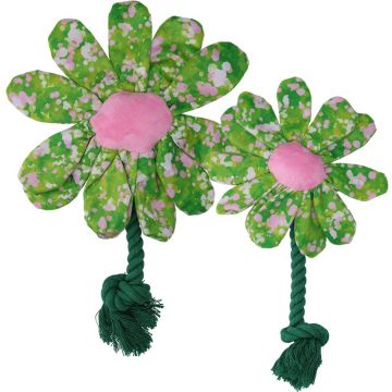 Garden Paws Flower Summer Shrubs