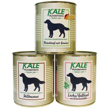 Kale Dosen Sparpaket 800g