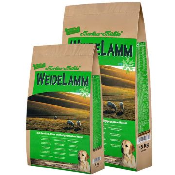 Markus-Mühle Weidelamm