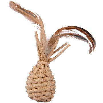 Petlando Earthcat Catnip Ananas