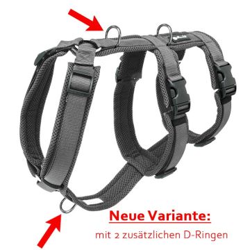 Petlando Sicherheitsgeschirr, anthrazit