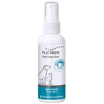 Platinum Oral Clean Care Classic Spray 100 ml