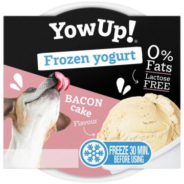 YowUp! Frozen Yoghurt Bacon Cake 110g