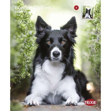 Kalender 2027 Border Collies