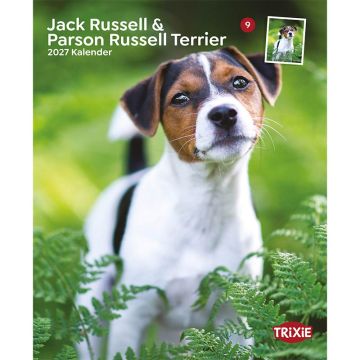 Kalender 2027 Jack Russell & Parson Russell Terrier