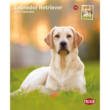 Kalender 2027 Labrador Retriever Kalender 2027 Labrador Retriever
