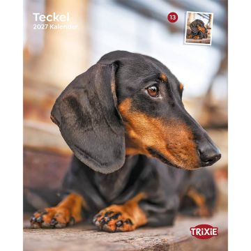 Kalender 2027 Teckel