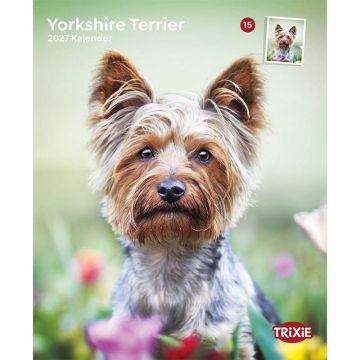 Kalender 2027 Yorkshire Terrier Kalender 2027 Yorkshire Terrier