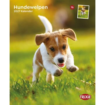 Kalender 2027 Hundewelpen Kalender 2027 Hundewelpen