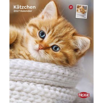 Kalender 2027 Kätzchen