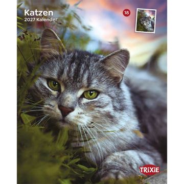Kalender 2027 Katzen