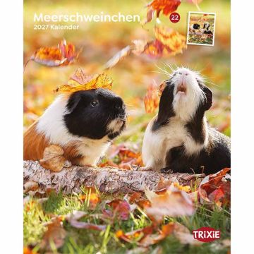 Kalender 2027 Meerschweinchen Kalender 2027 Meerschweinchen