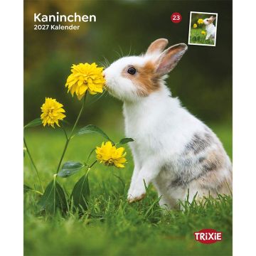 Kalender 2027 Kaninchen