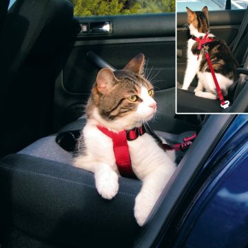 Auto-Geschirr für Katzen, 20–50 cm/15 mm, rot