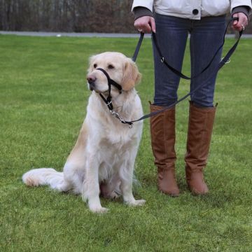 Top Trainer Ausbildungs-Geschirr
