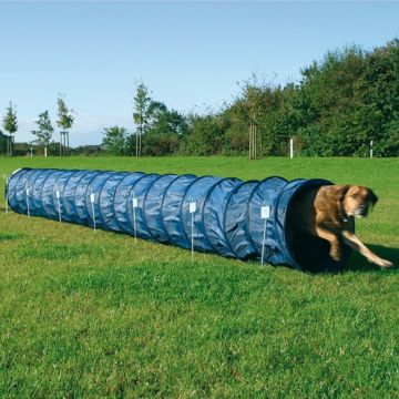 Fun Agility Basic Tunnel, 60 cm/5 m, blau