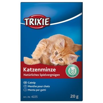 Katzenminze 20g