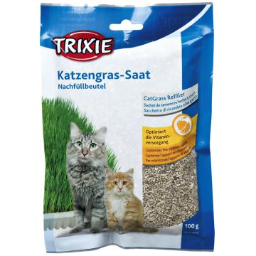 Katzengras-Saat Nachfüllbeutel 100g