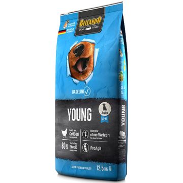 Belcando Baseline Young