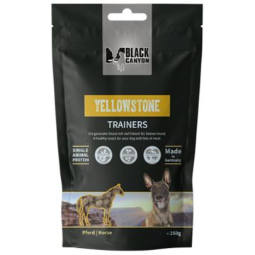 Black Canyon Trainers Yellowstone Pferd