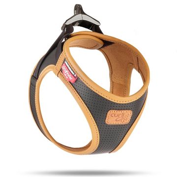 Curli Geschirr Apple Leather, schwarz